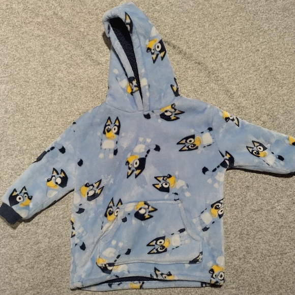 Bluey sweatshirt hoodie - Picture 1 of 4